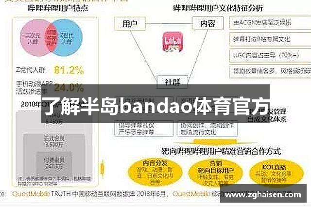 了解半岛bandao体育官方